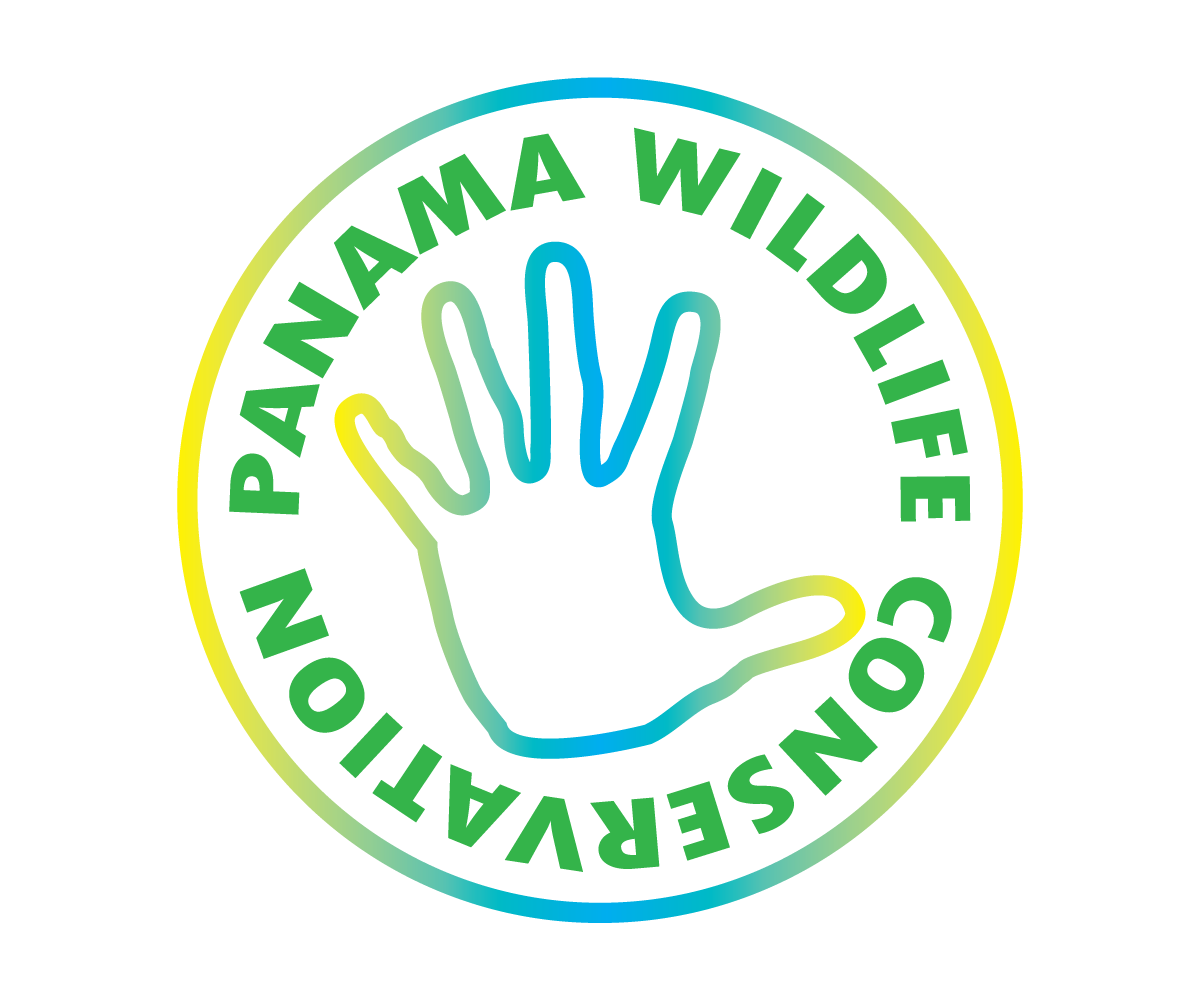 Logo Design by  Wong for this project | Design #2392832