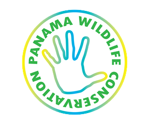 Logo Design by  Wong for this project | Design: #2392832