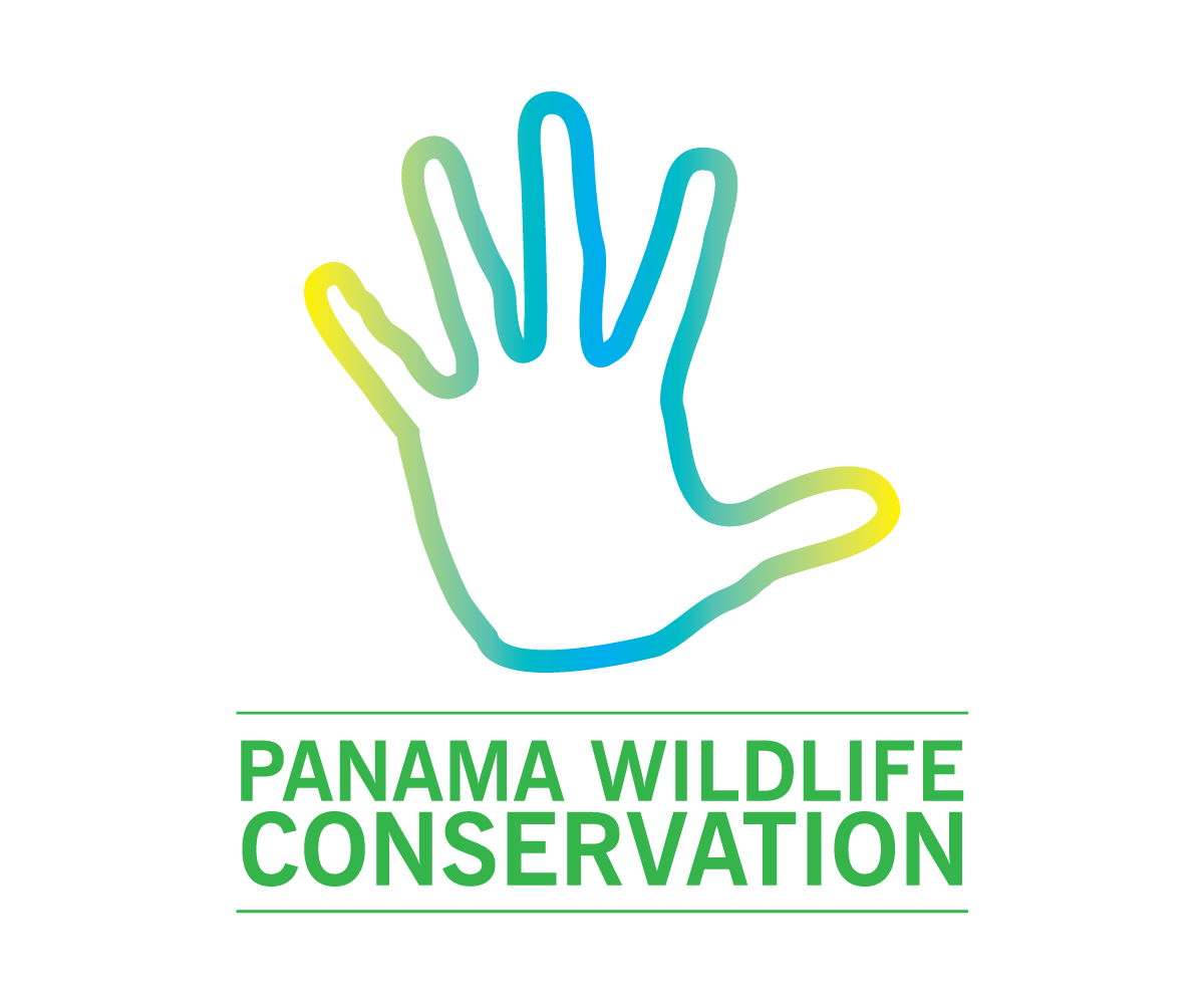 Logo Design by  Wong for this project | Design #2400480