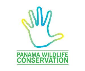 Logo Design by  Wong for this project | Design: #2400480