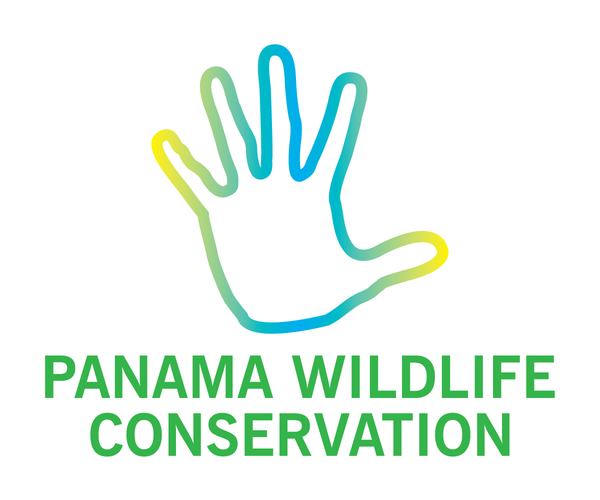 Logo Design by  Wong for this project | Design #2400482