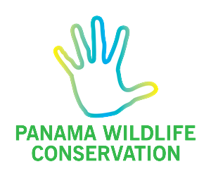 Logo Design by  Wong for this project | Design: #2400482