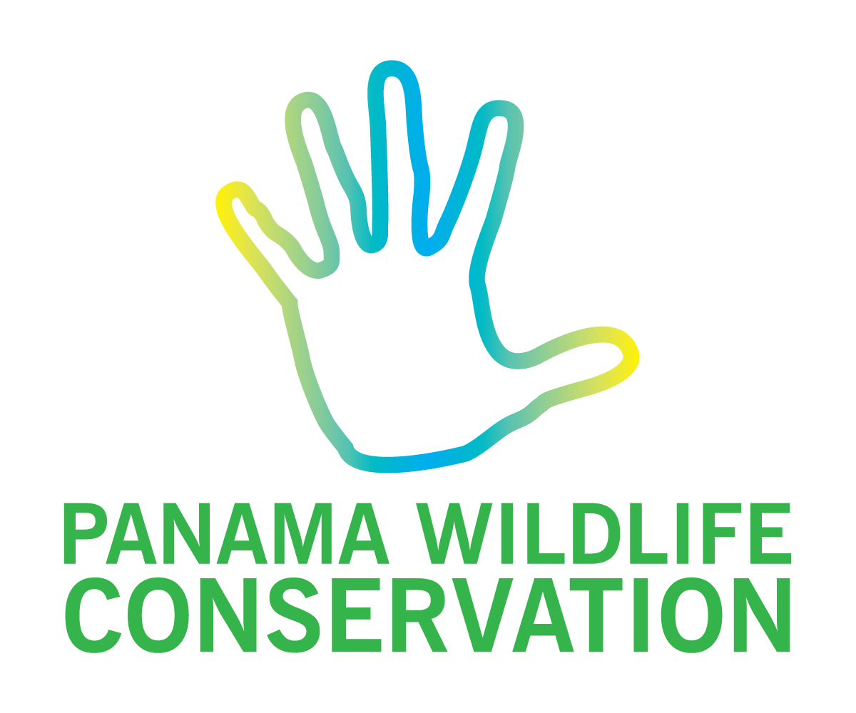 Logo Design by  Wong for this project | Design #2400484