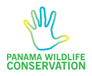 Logo Design by  Wong for this project | Design: #2400484