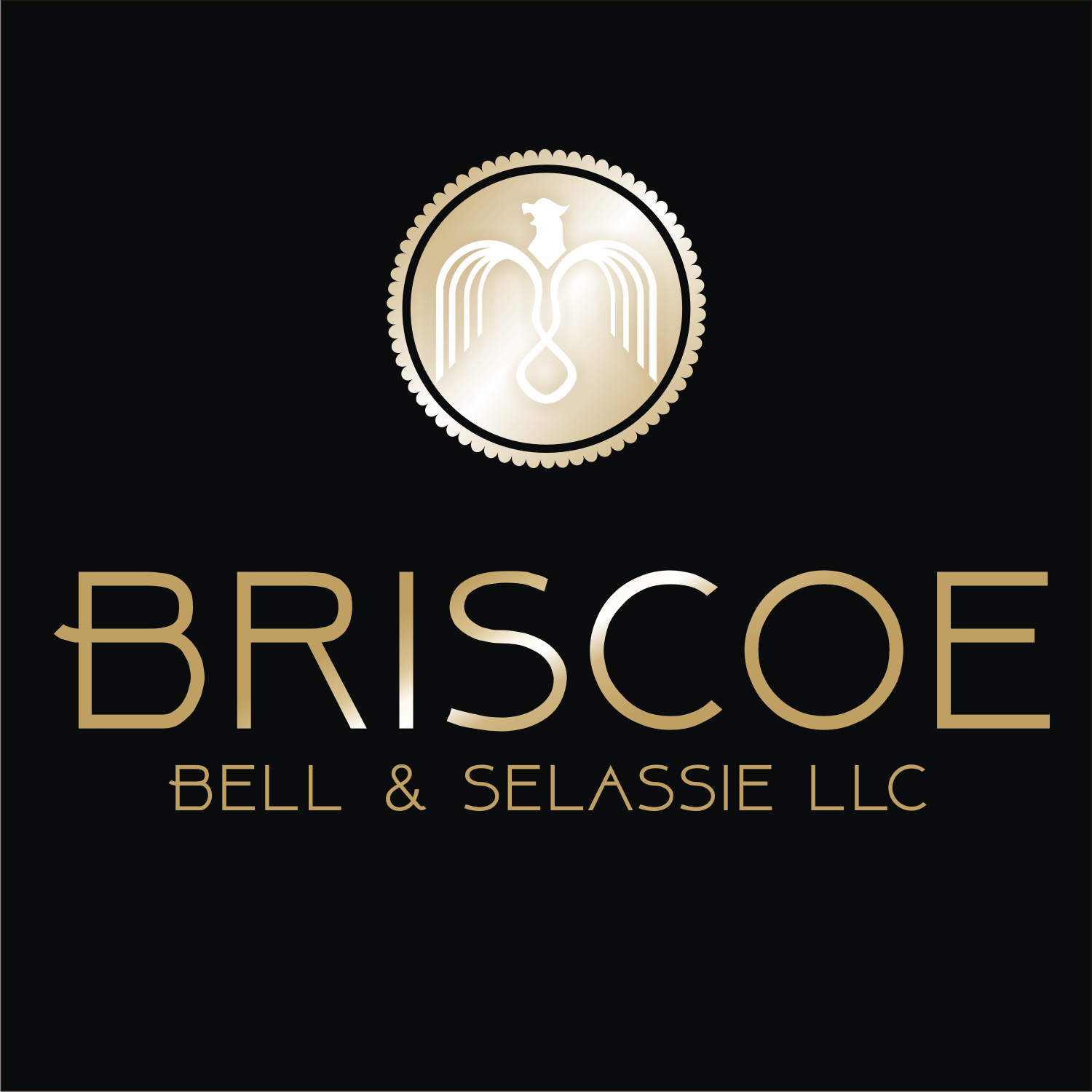 Logo Design by ruca for this project | Design #12336882