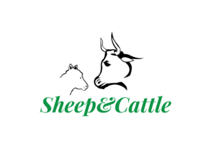 Diseño de Logo por Impressive Solutions para SheepnCattle.org | Diseño: #12295656