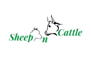 Diseño de Logo por Impressive Solutions para SheepnCattle.org | Diseño: #12306111