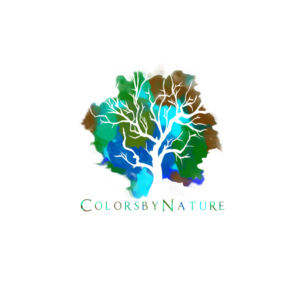 Design de Logo par Nicholas Parente pour ce projet | Design #12315770