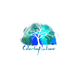 Logo Design by Nicholas Parente for this project | Design: #12315771