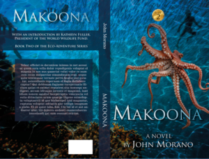 Book Cover Art for 