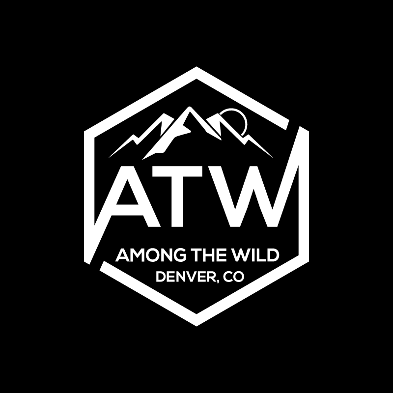 Logo Design by designlogo007 for Among The Wild | Design #12411448