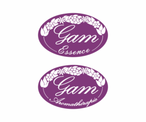 Logo Design by Khalik for PConcept Sàrl | Design: #12314011