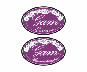 Logo Design by Khalik for PConcept Sàrl | Design: #12314033