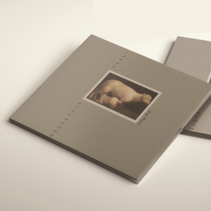 CD-Cover-Design von tzo für dieses Projekt | Design: #12532552