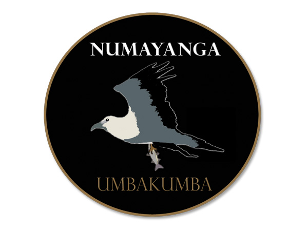 Logo Design by PAGEMonkey Design for this project | Design #511008