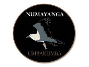 Logo Design by PAGEMonkey Design for this project | Design: #511008