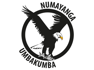 Logo-Design von Nasta für dieses Projekt | Design #518771