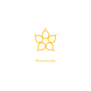 Logo-Design von WP DESIGNS für dieses Projekt | Design #12447567