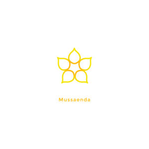 Logo Design by WP DESIGNS for this project | Design: #12447568