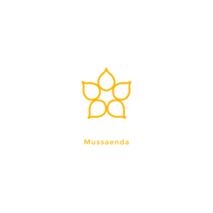 Logo Design by WP DESIGNS for this project | Design: #12447571