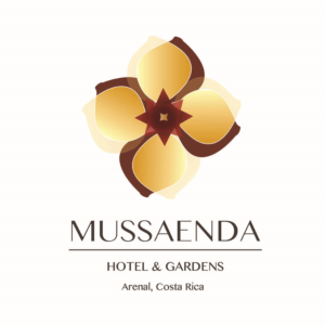 Logo Design by elona42