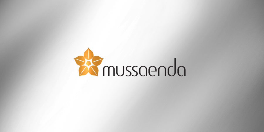 Logo Design by Namita for this project | Design #12332661