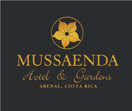 Logo Design by Bettymar for this project | Design #12308751