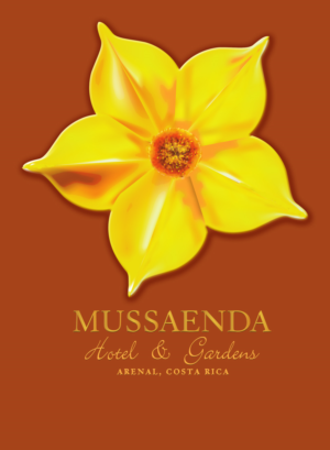 Logo Design by Bettymar for this project | Design: #12308945