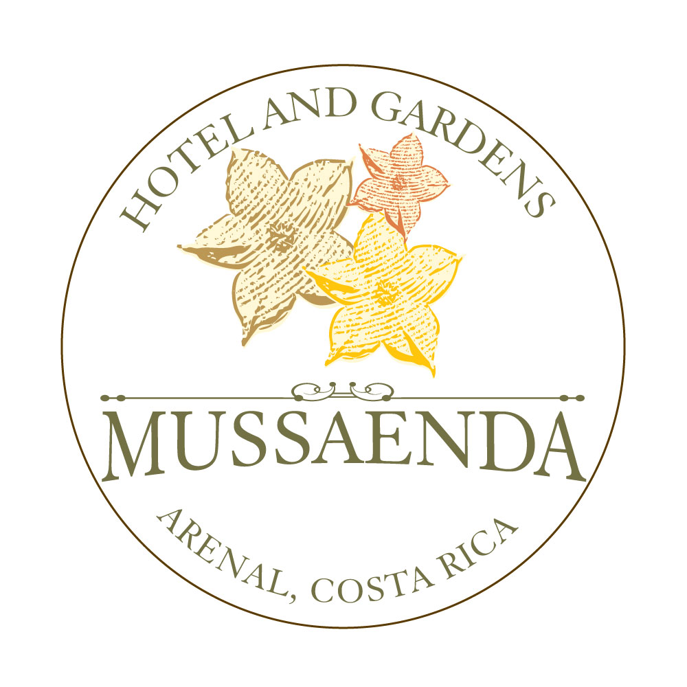 Logo Design by Bettymar for this project | Design #12354150