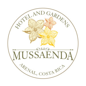 Logo Design by Bettymar for this project | Design: #12354150