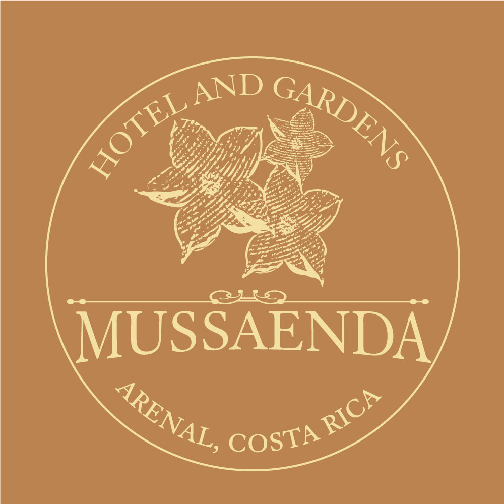 Logo Design by Bettymar for this project | Design #12354151