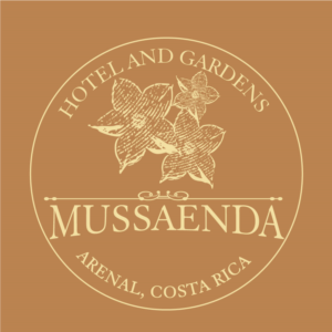 Logo Design by Bettymar for this project | Design: #12354151