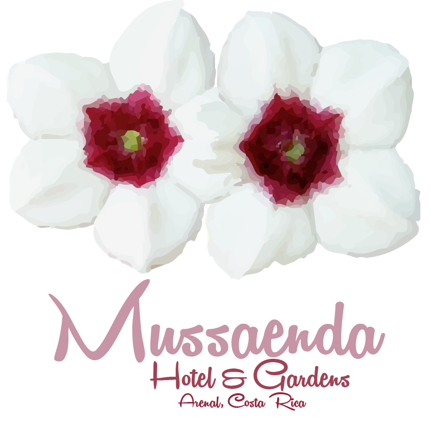 Logo Design by JordanWilliams for this project | Design #12300665