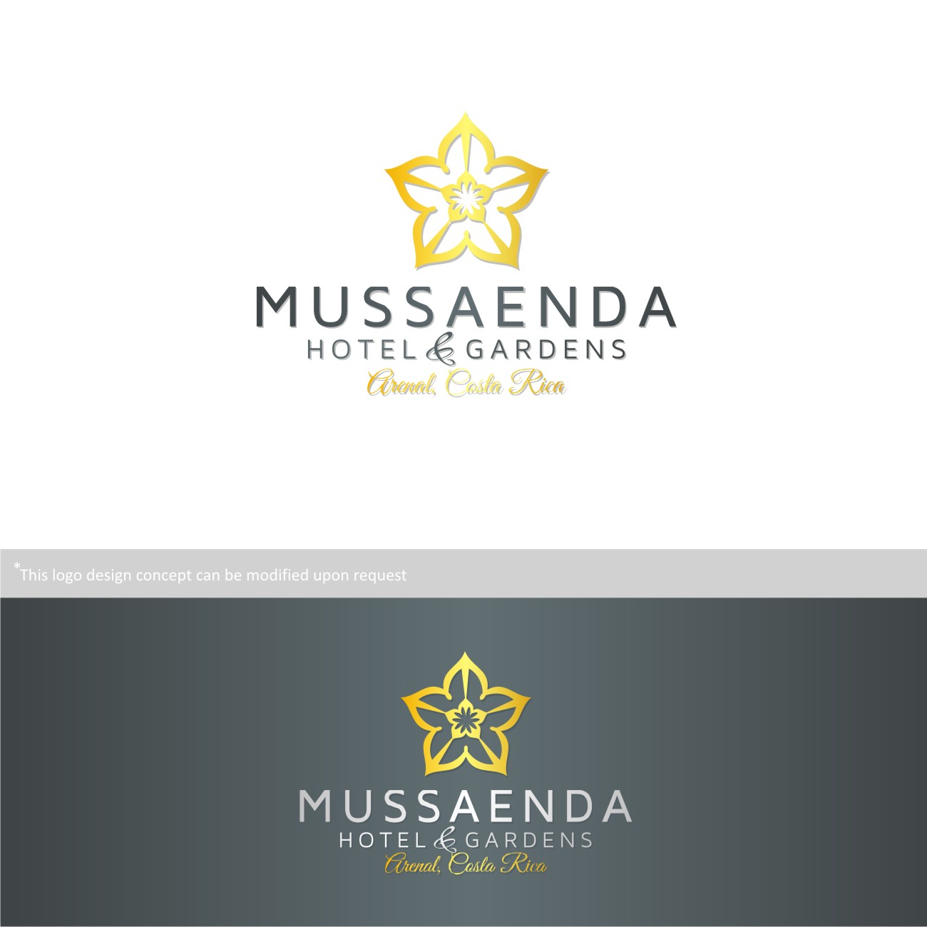 Diseño de Logo por MBARO para este proyecto | Diseño #12356255