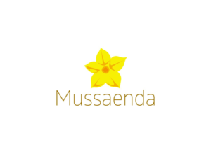 Logo Design by MOH Studio for this project | Design: #12306589