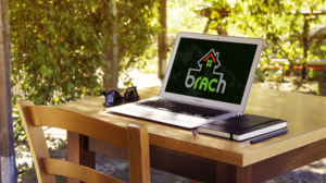 Logo Design by Red Chile