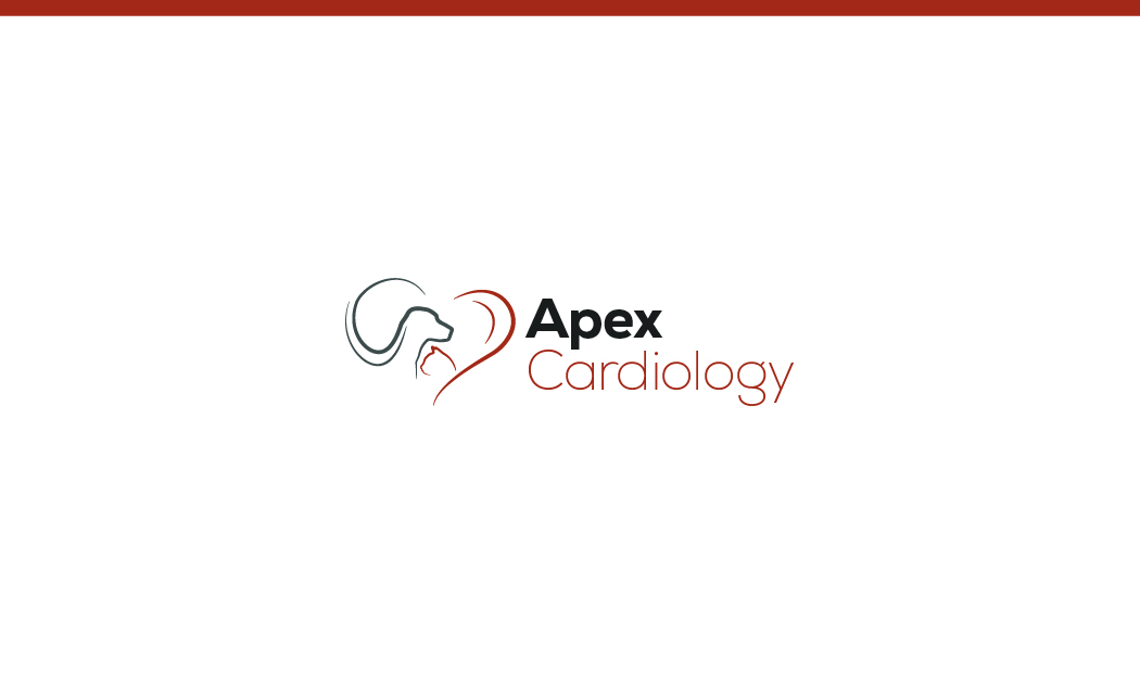 Logo Design by Coneagles for this project | Design #12353325