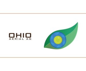 Logo Design by Creati Studio