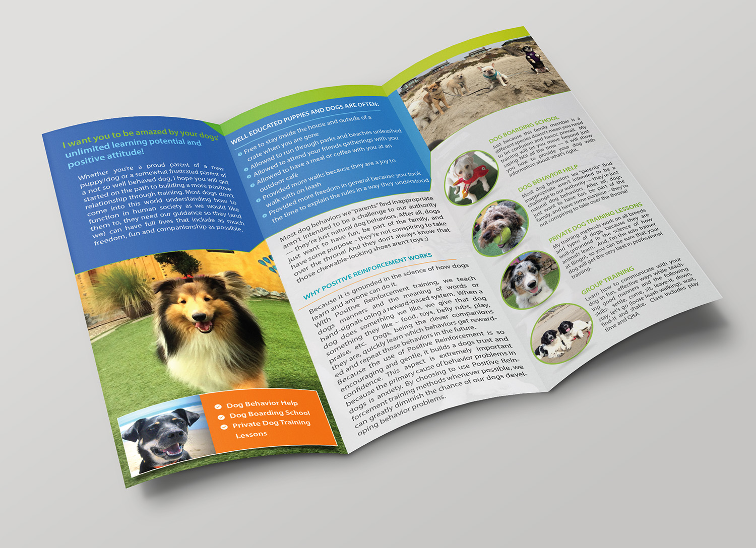 Flyer Design by alex989 for Bingo Dog Training | Design #12343567