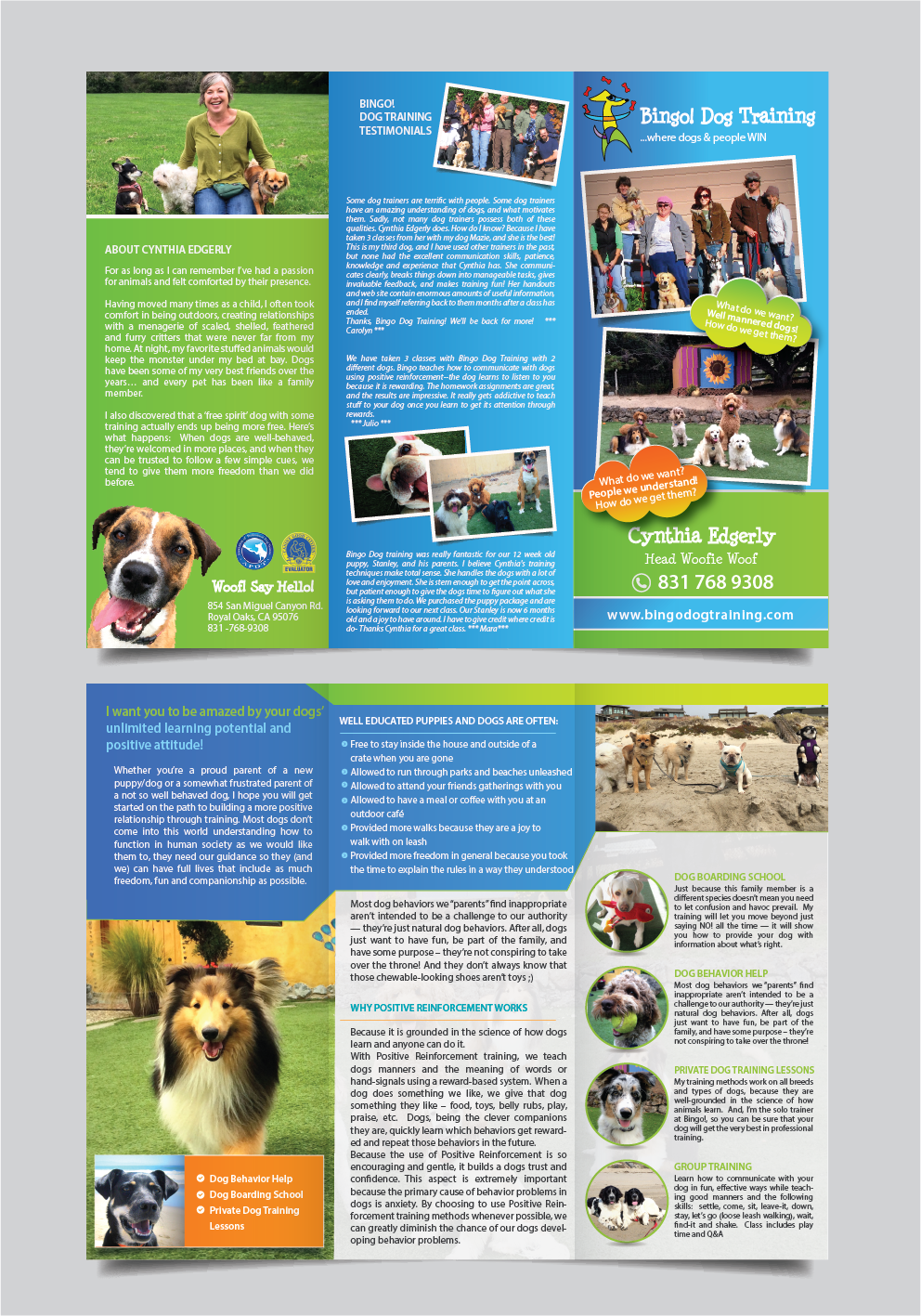 Flyer Design by alex989 for Bingo Dog Training | Design #12358596