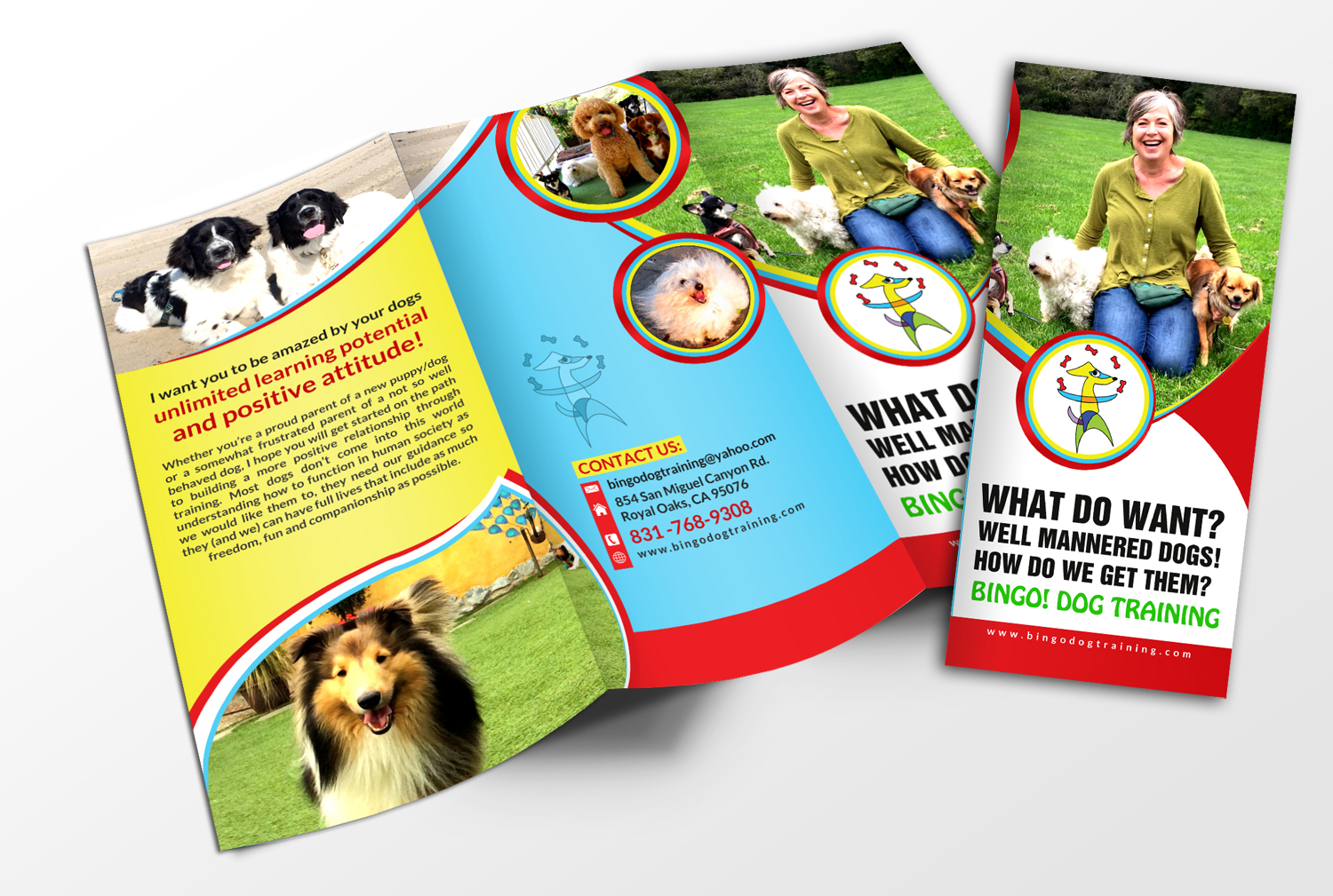 Flyer Design by debdesign for Bingo Dog Training | Design #12349079