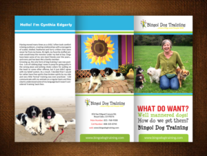 Flyer Design by creative.bugs for Bingo Dog Training | Design: #12349649