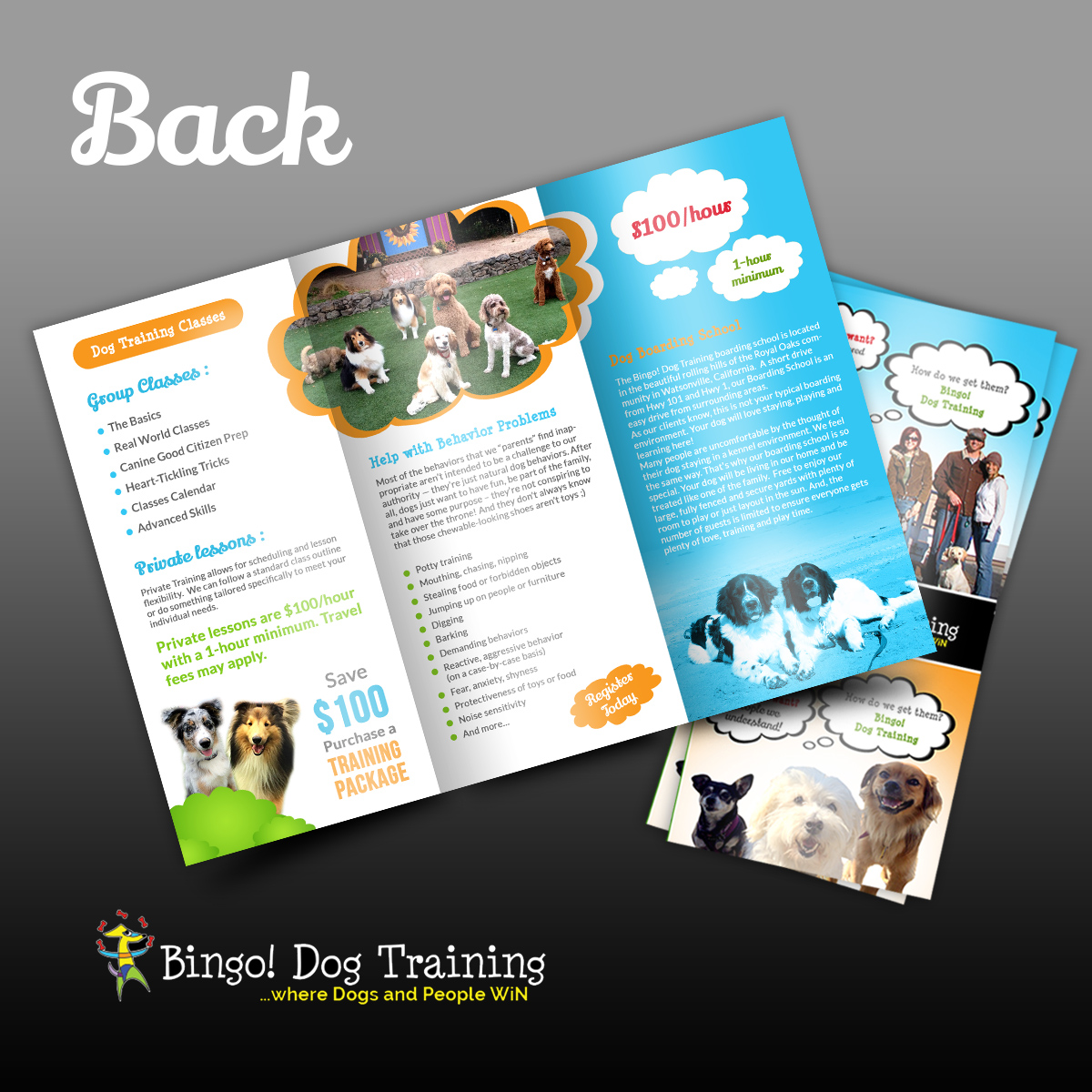 Flyer Design by creative.bugs for Bingo Dog Training | Design #12371326
