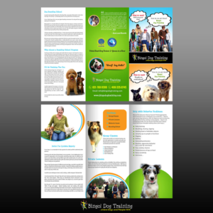 Flyer Design by creative.bugs