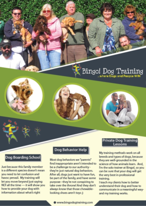Flyer Design by sultanr238 for Bingo Dog Training | Design: #12317286
