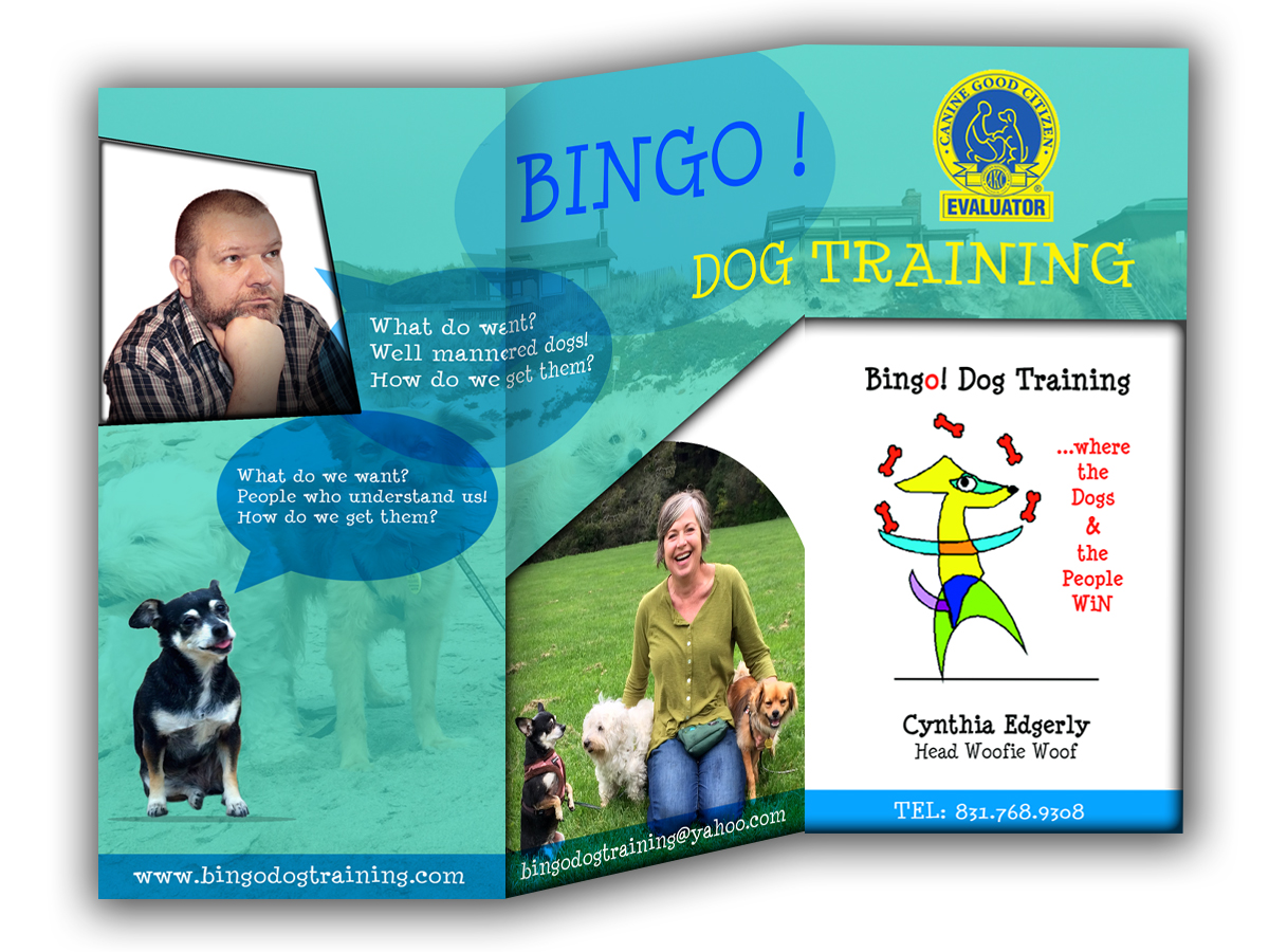 Flyer Design by designerftf for Bingo Dog Training | Design #12353050