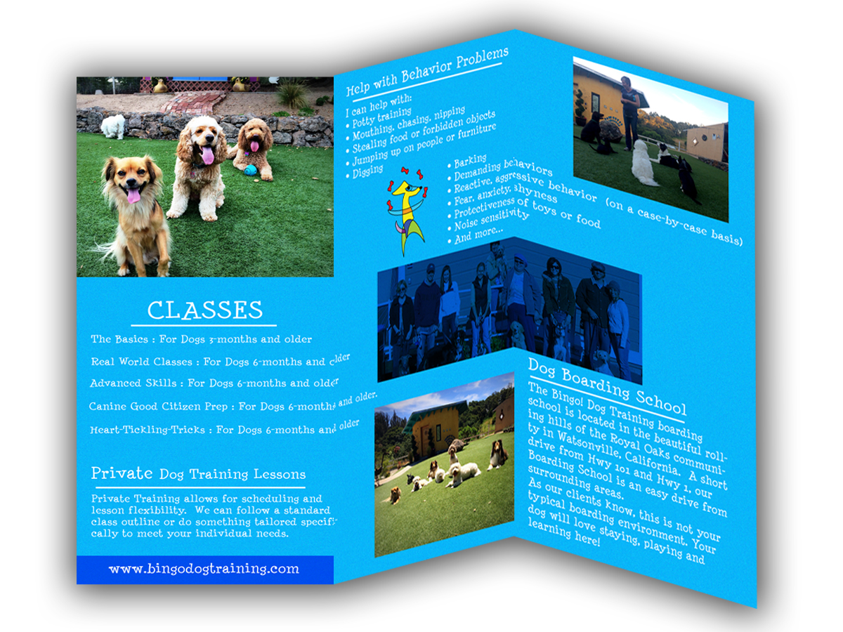 Flyer Design by designerftf for Bingo Dog Training | Design #12353051