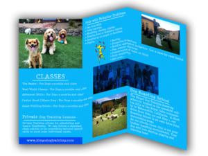 Flyer Design by designerftf for Bingo Dog Training | Design: #12353051