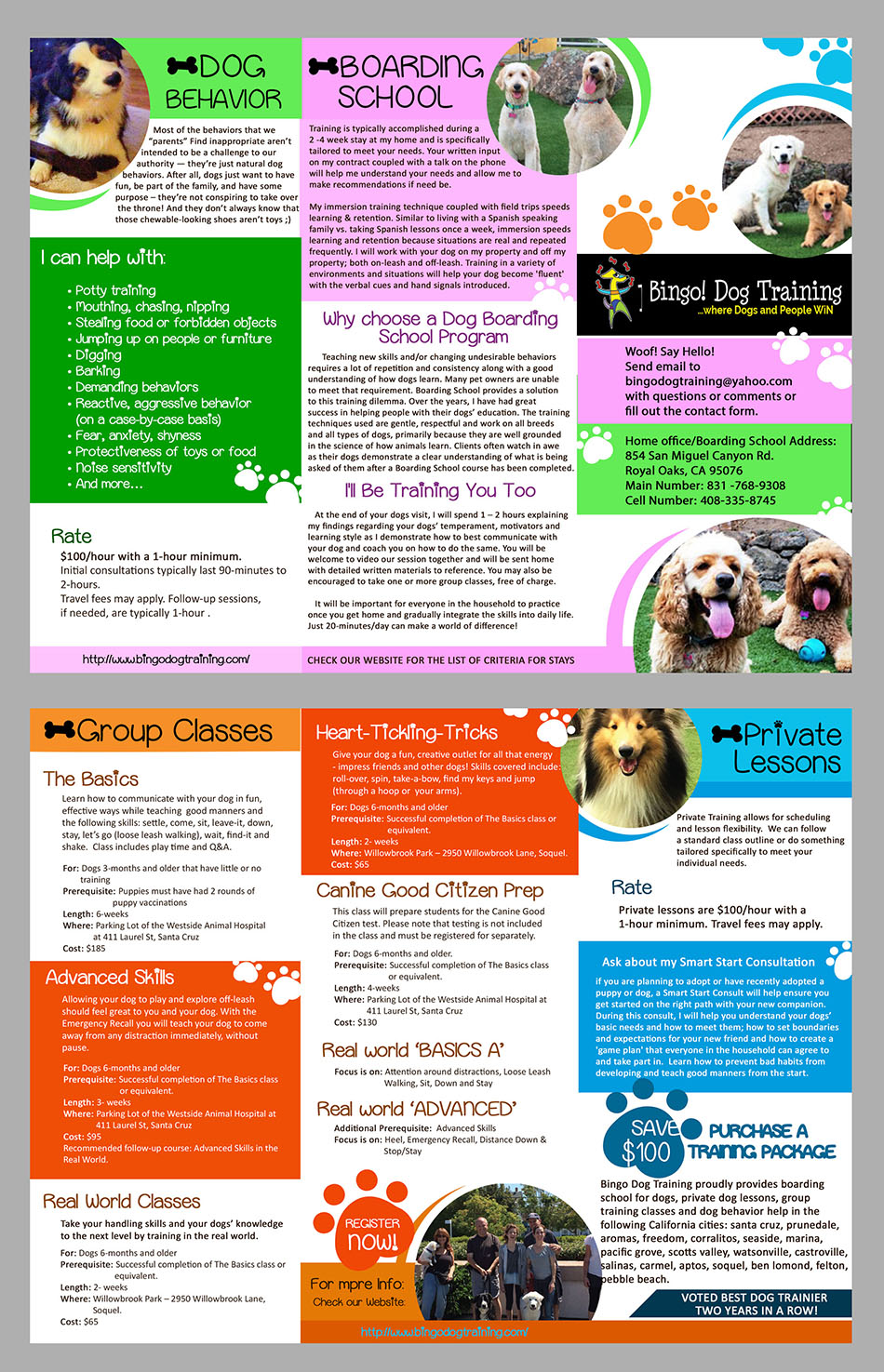 Flyer Design by creamz12 for Bingo Dog Training | Design #12317791