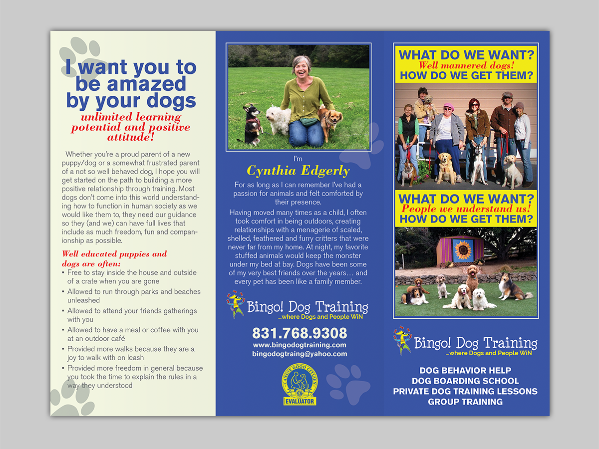Flyer Design by Mon01 for Bingo Dog Training | Design #12359505